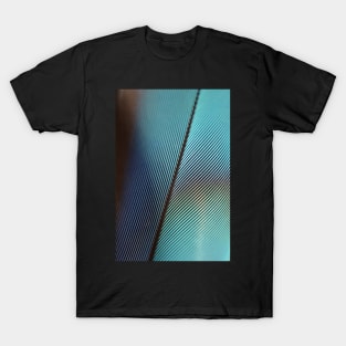 Feather Abstract T-Shirt